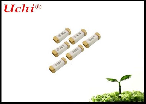 দ্রুত কার্যকরী সিরামিক ফিউজ 2A 250V